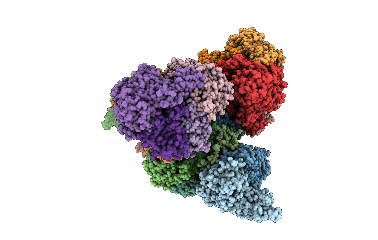 2XSO image