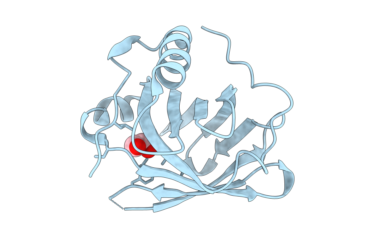 2XST image