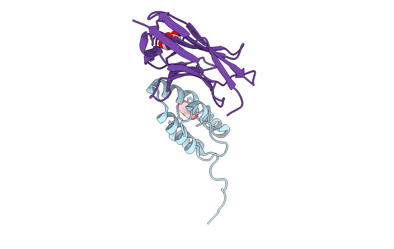 2XT1 image