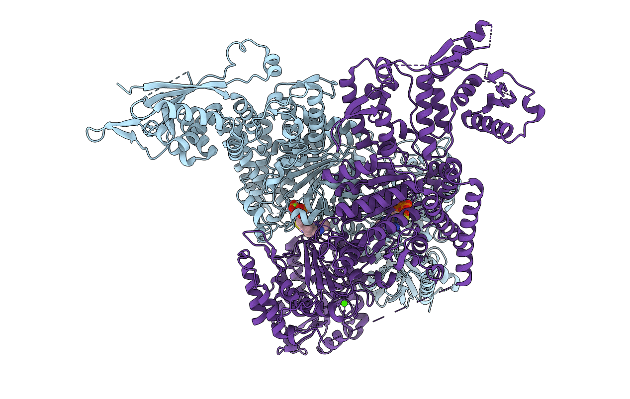 2XT6 image