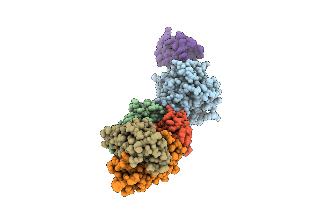 2XTJ image