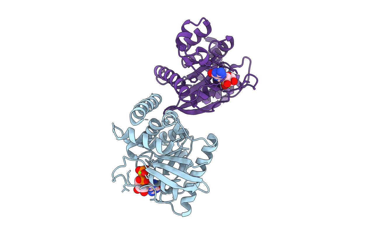 2XTO image