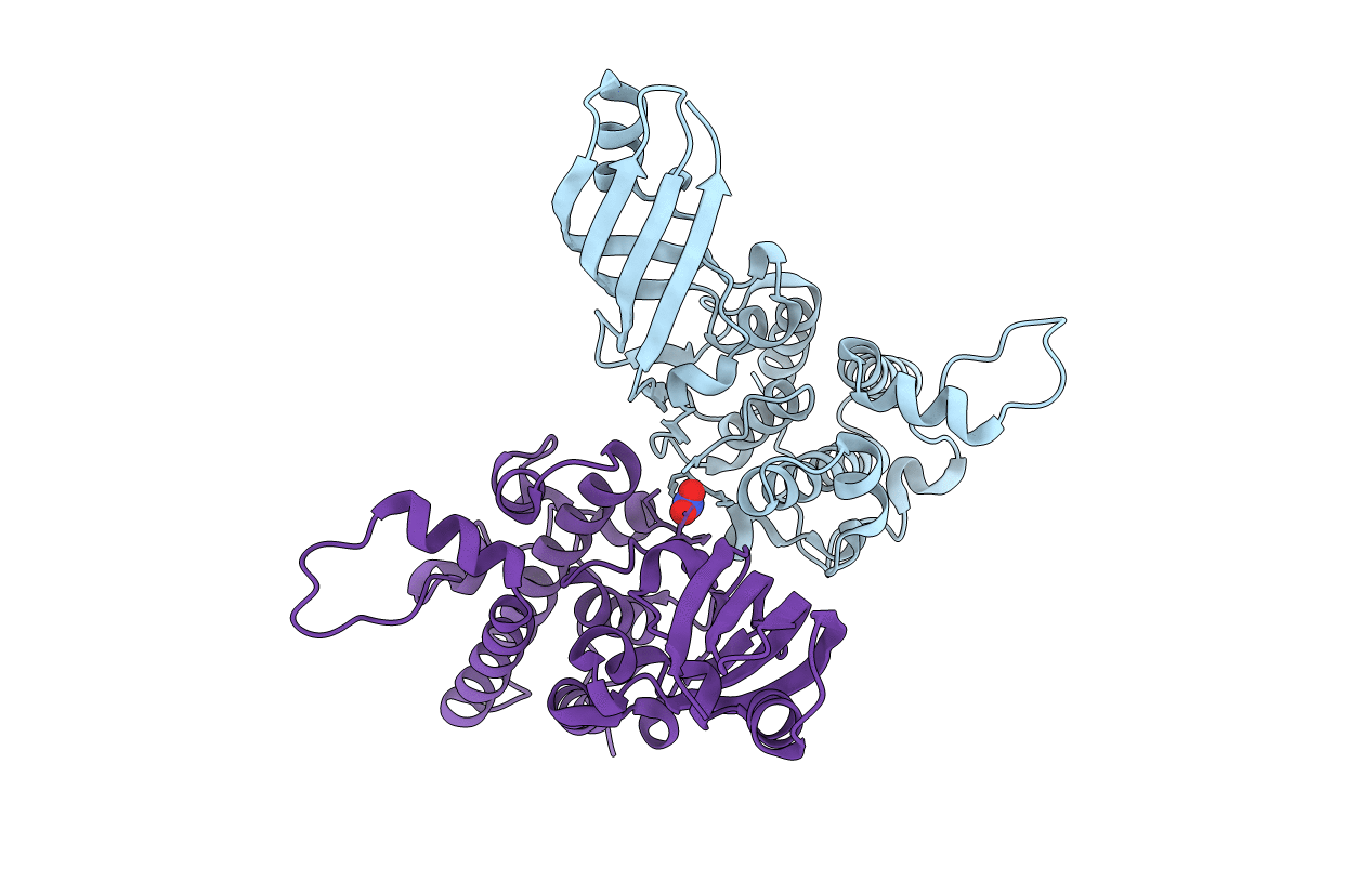 2XTR image