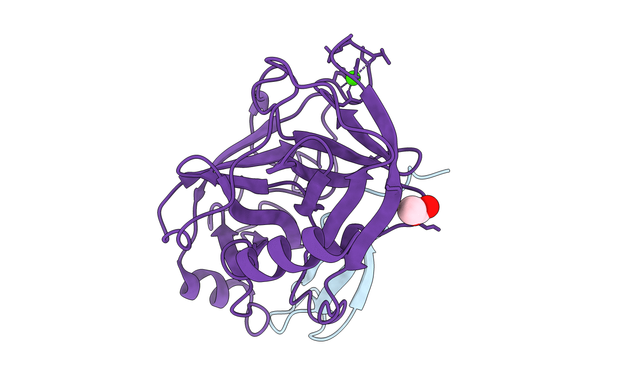 2XTT image