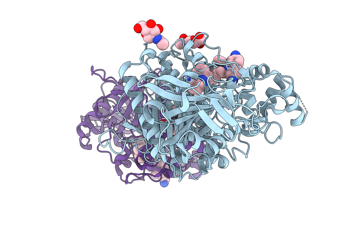 2XUF image