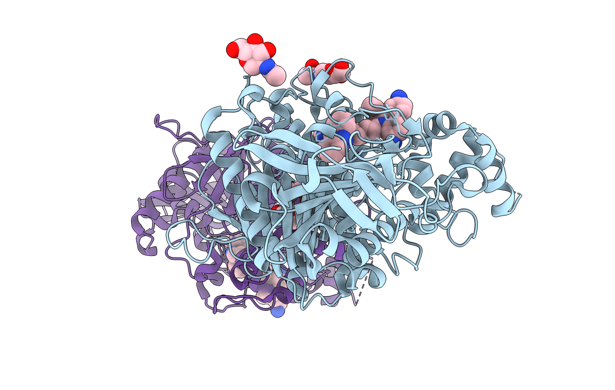 2XUG image
