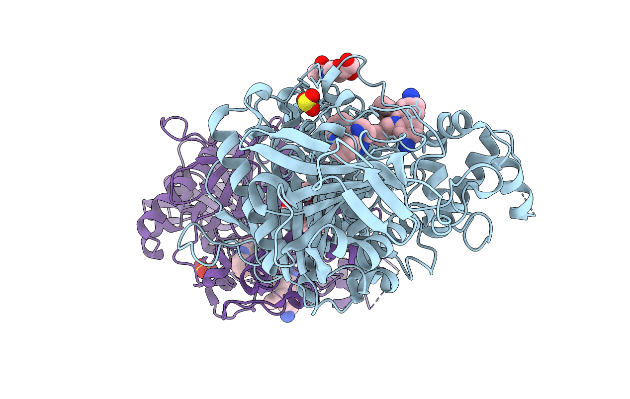 2XUP image