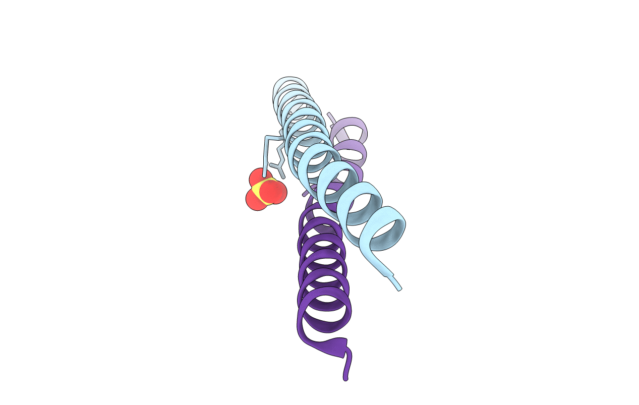 2XUS image