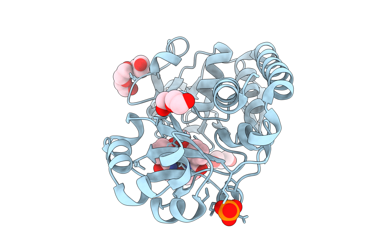 2XUZ image