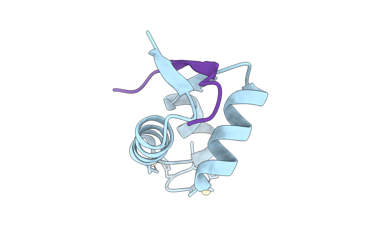 2XVC image