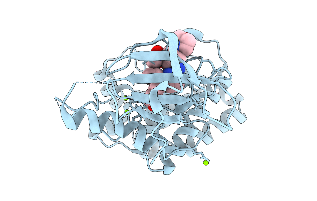 2XVD image