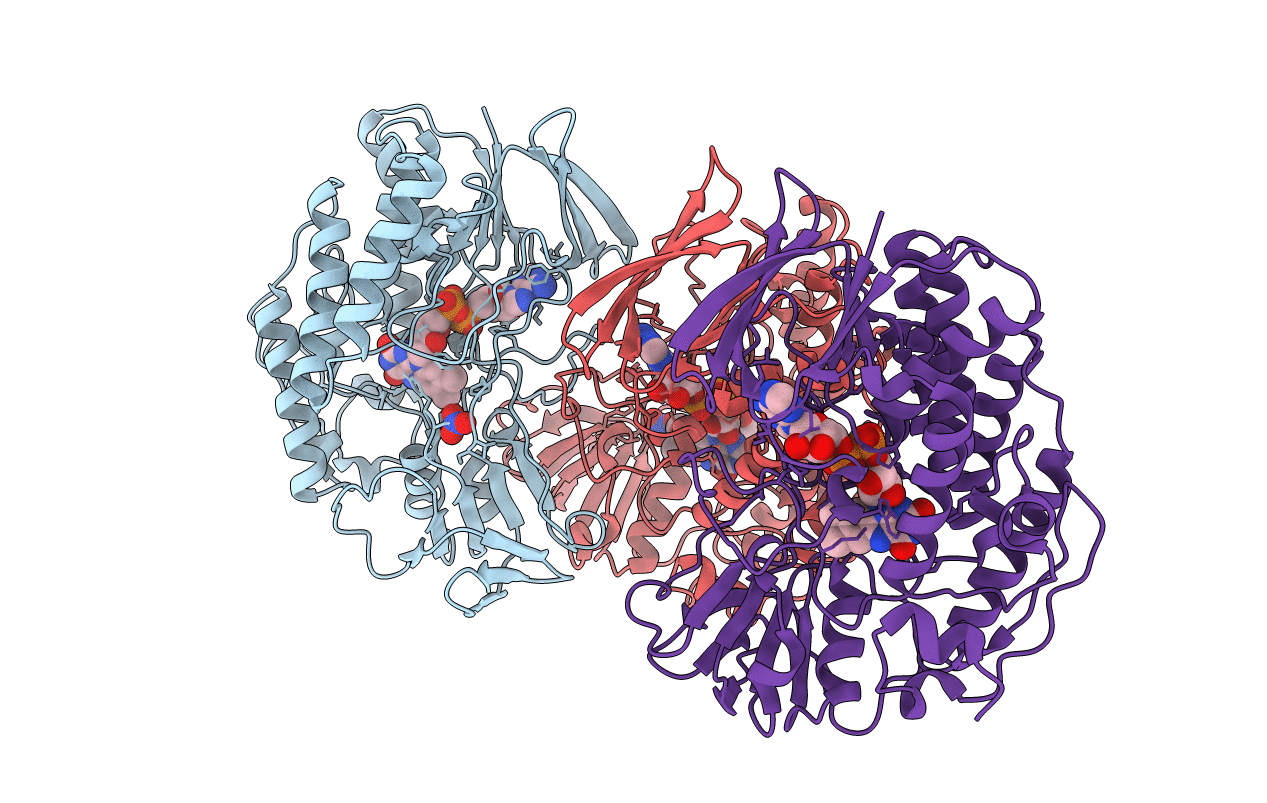 2XVF image