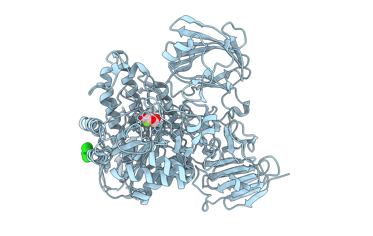 2XVK image