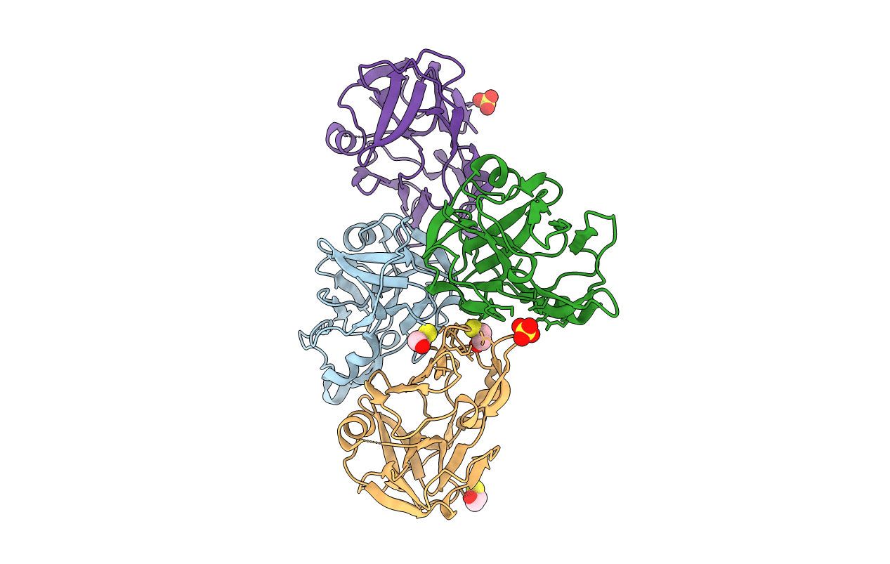 2XVO image