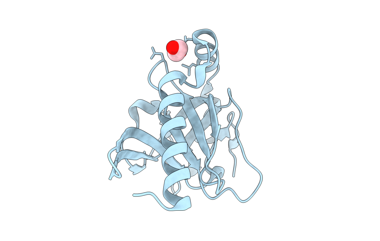 2XVS image