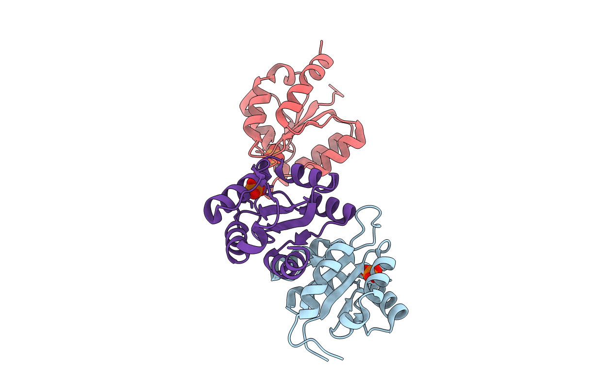 2XW6 image
