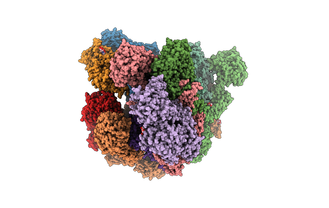 2XWJ image