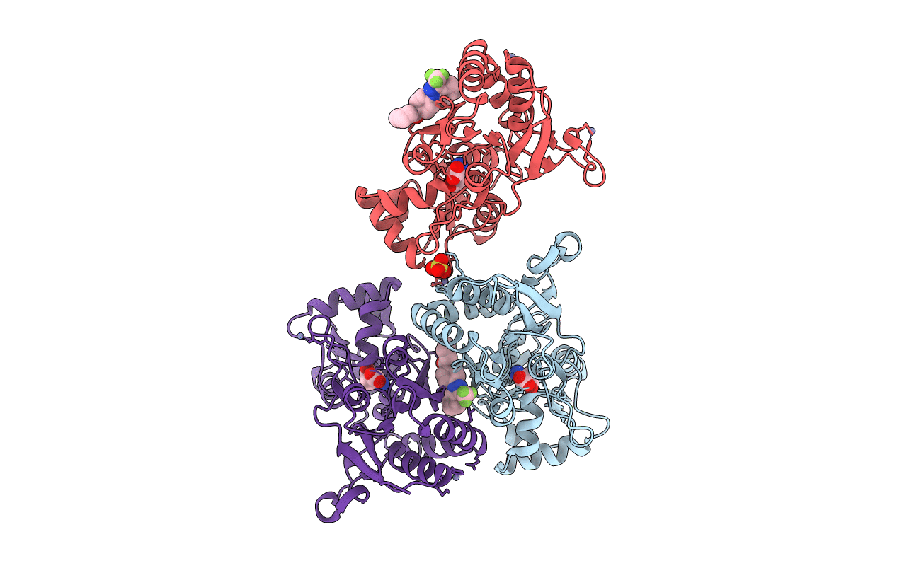 2XX7 image
