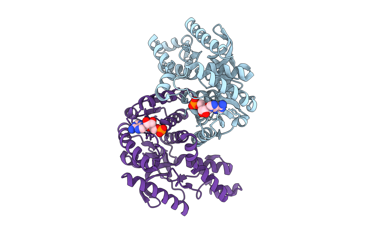 2XXB image