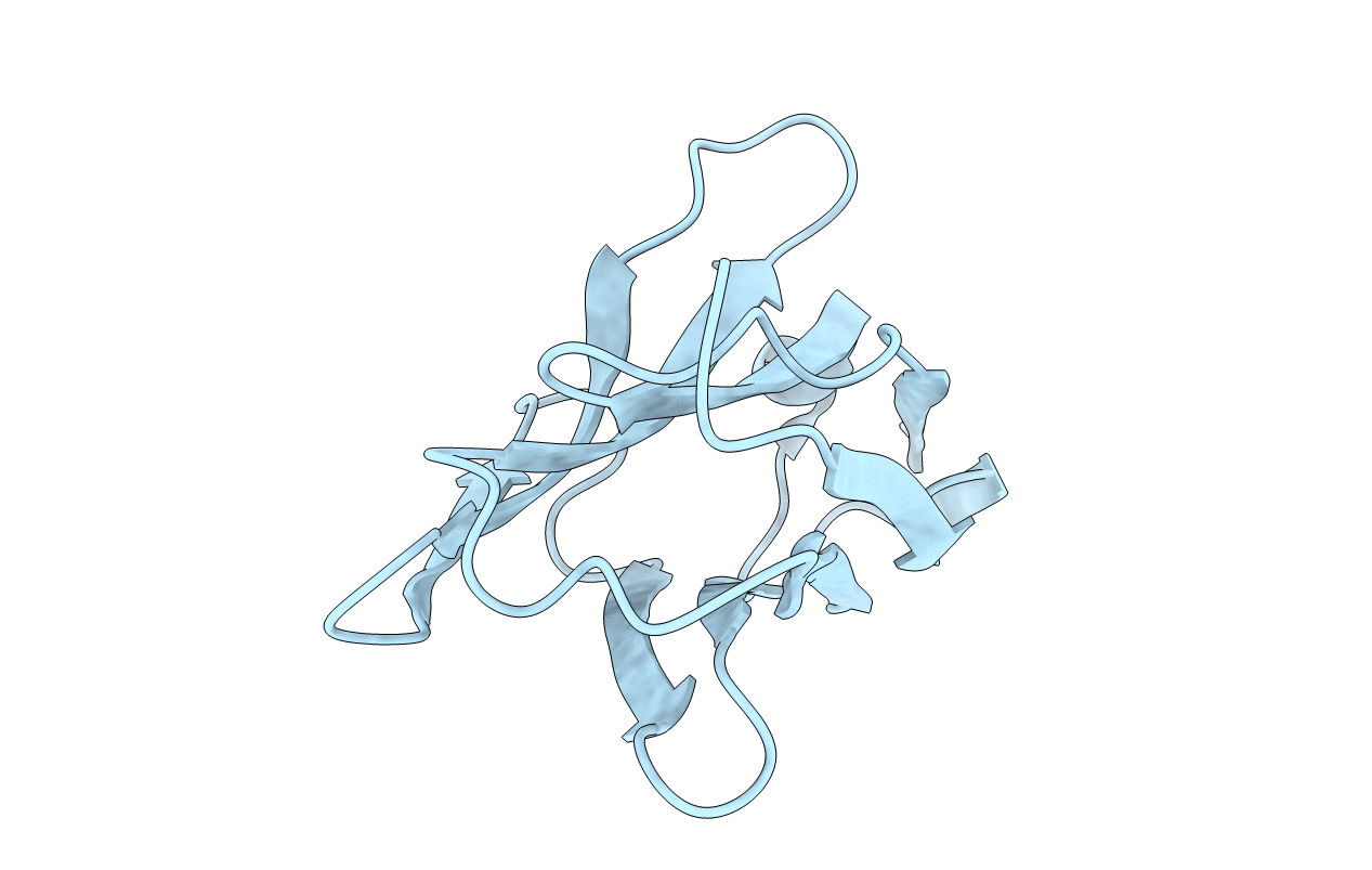 2XXC image
