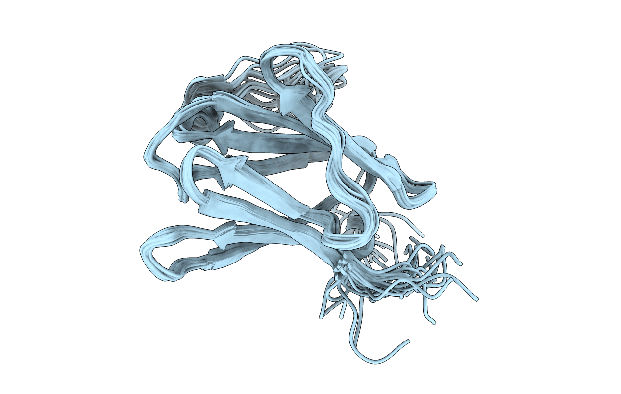 2XXS image