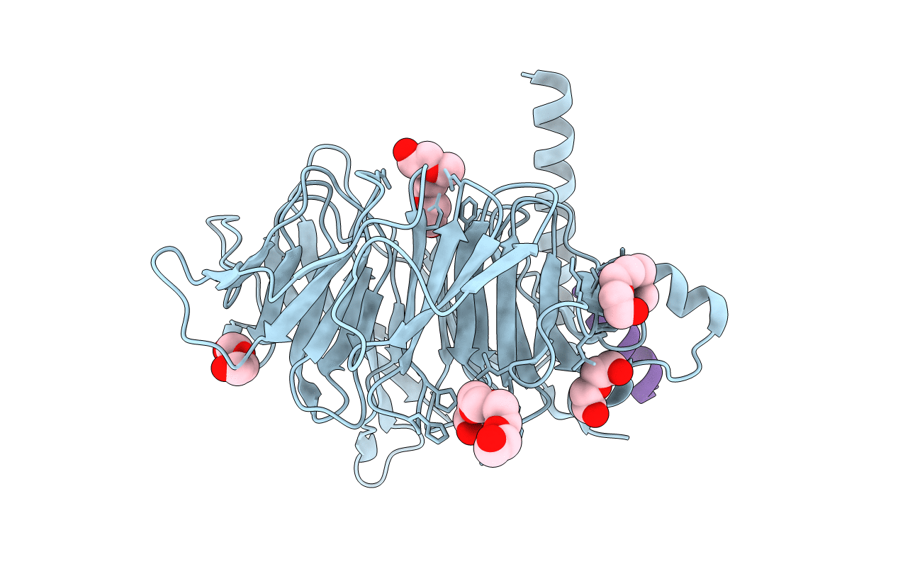 2XYI image