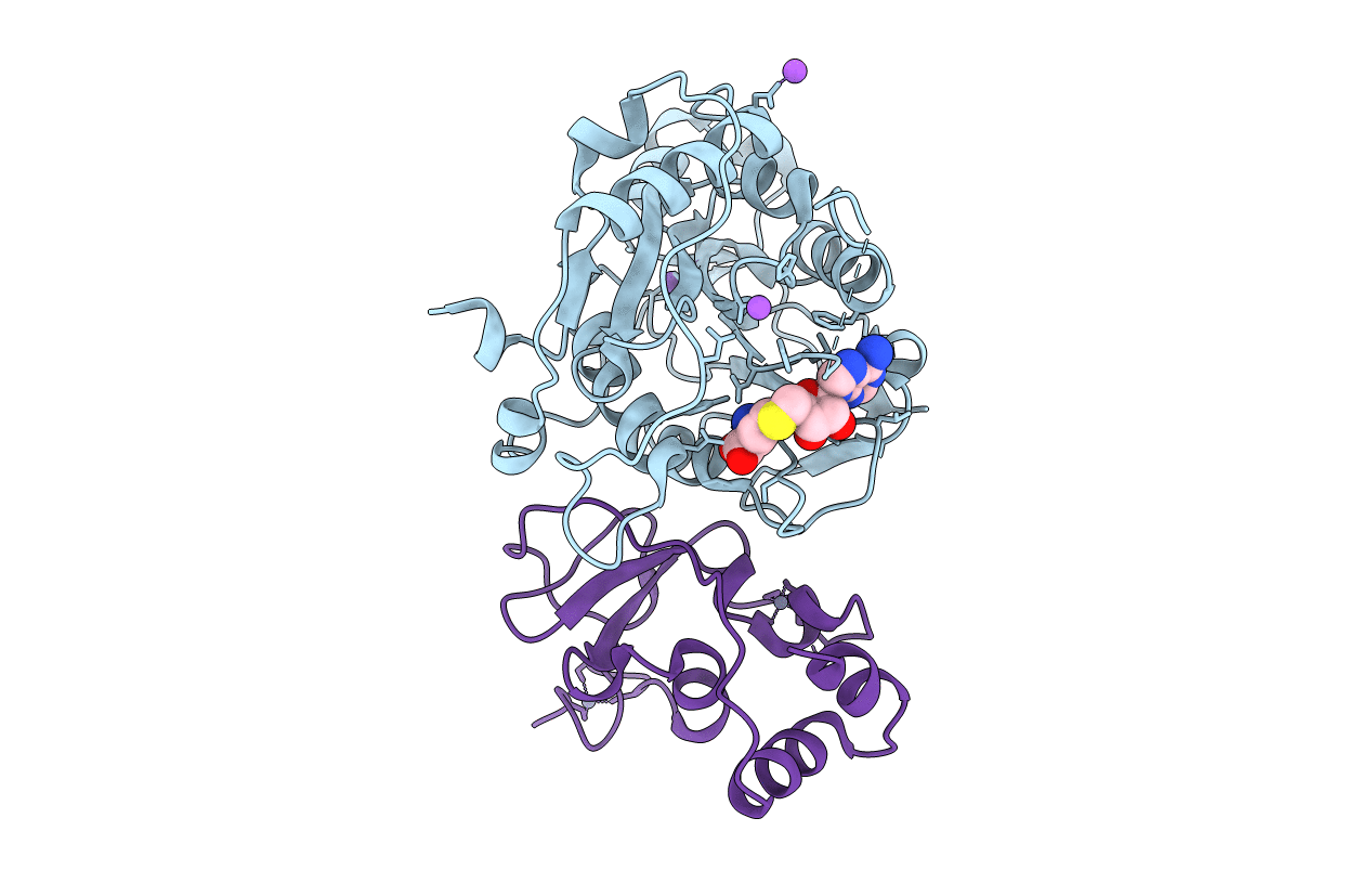 2XYV image