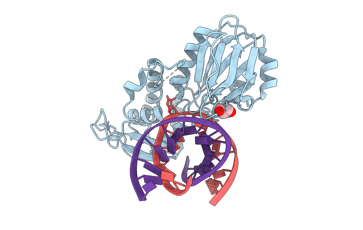 2XZF image