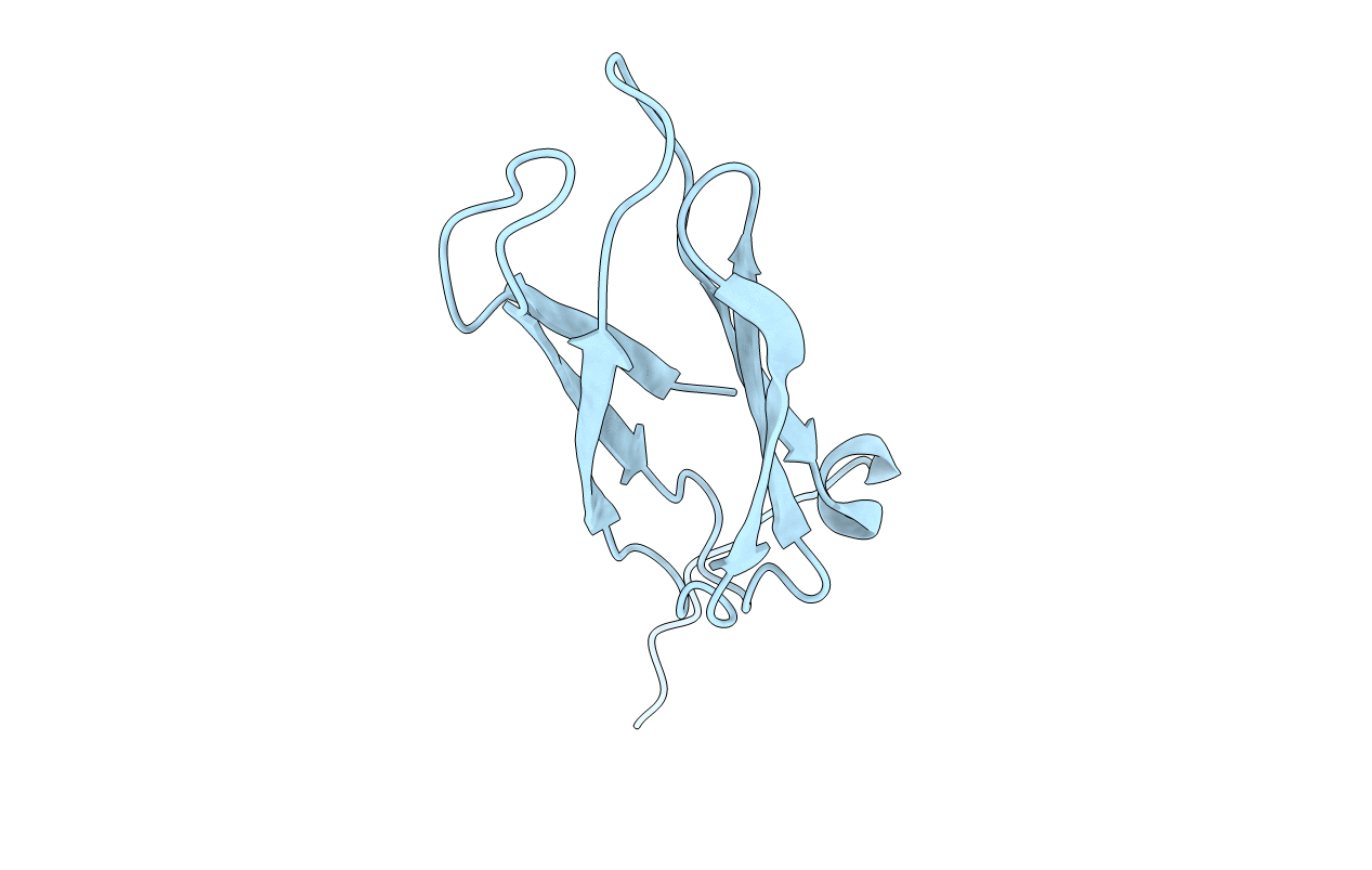 2XZZ image