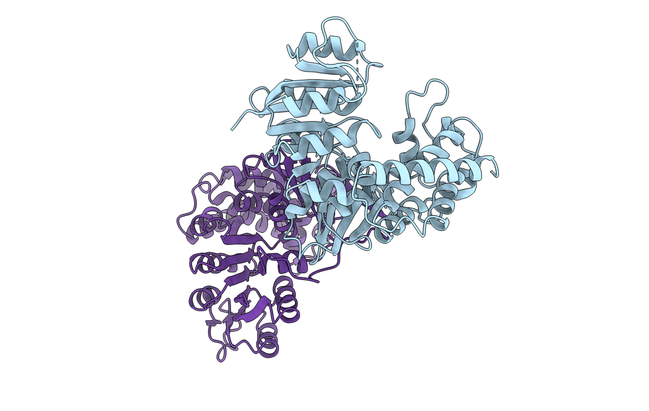 2Y1C image