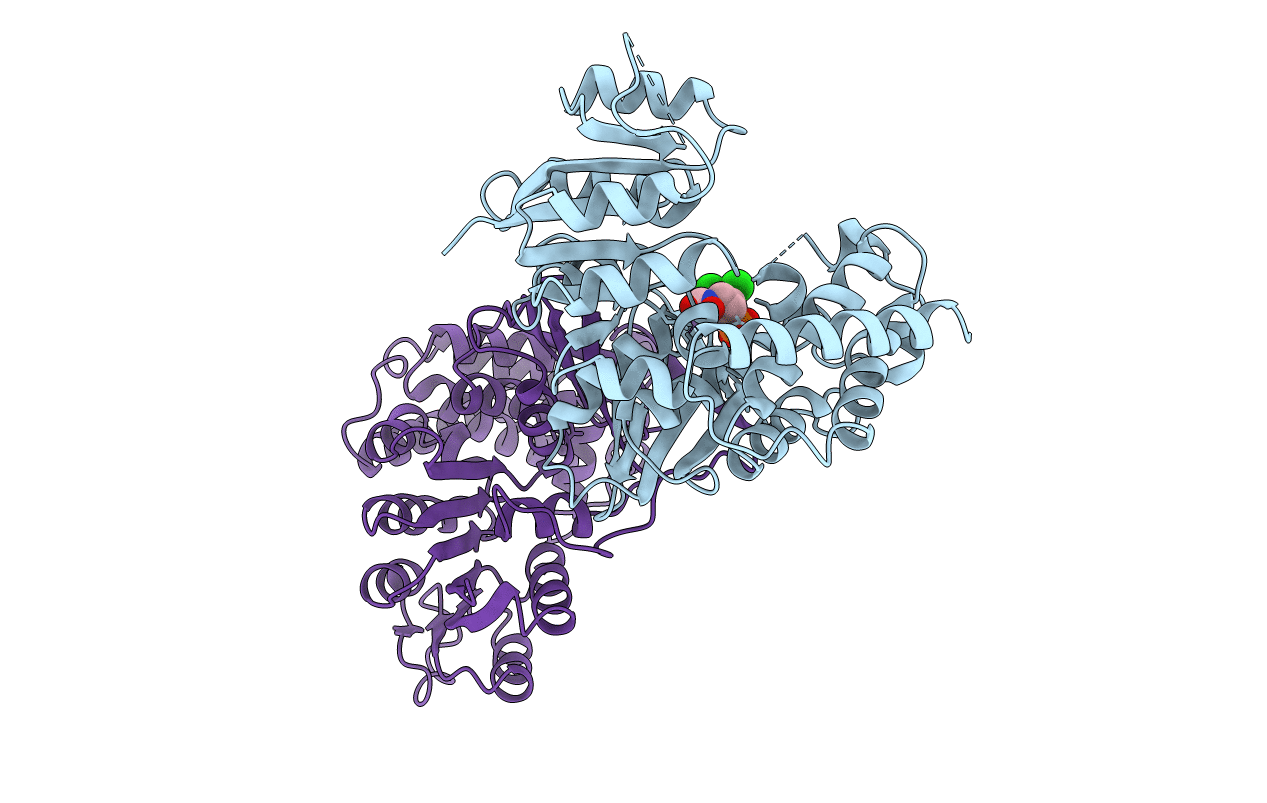 2Y1D image