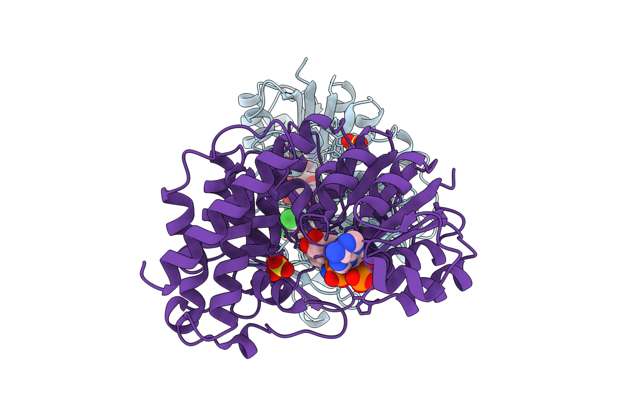 2Y1F image
