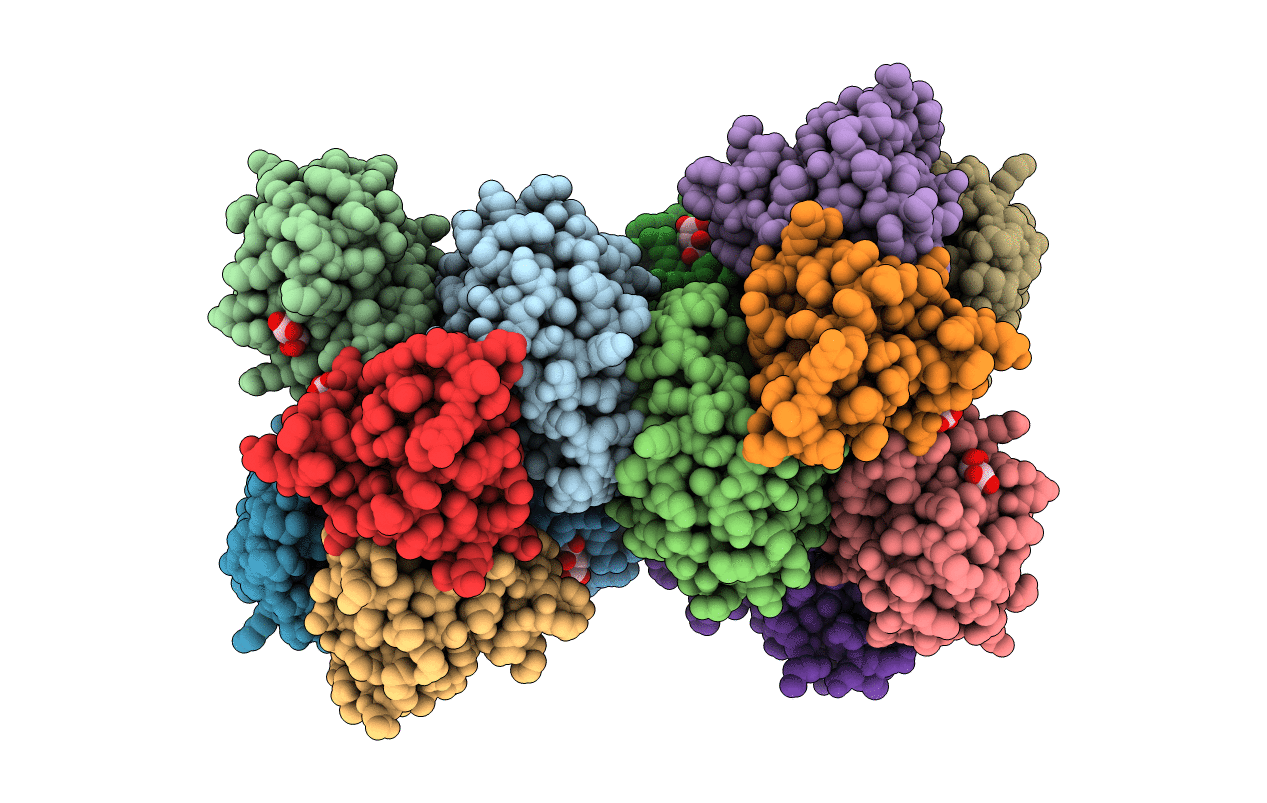 2y1r image