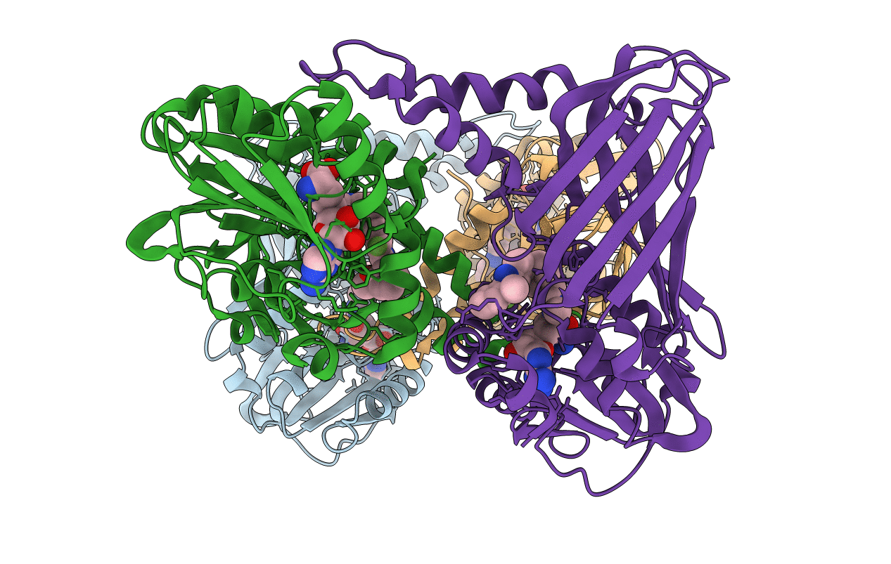 2Y1W image
