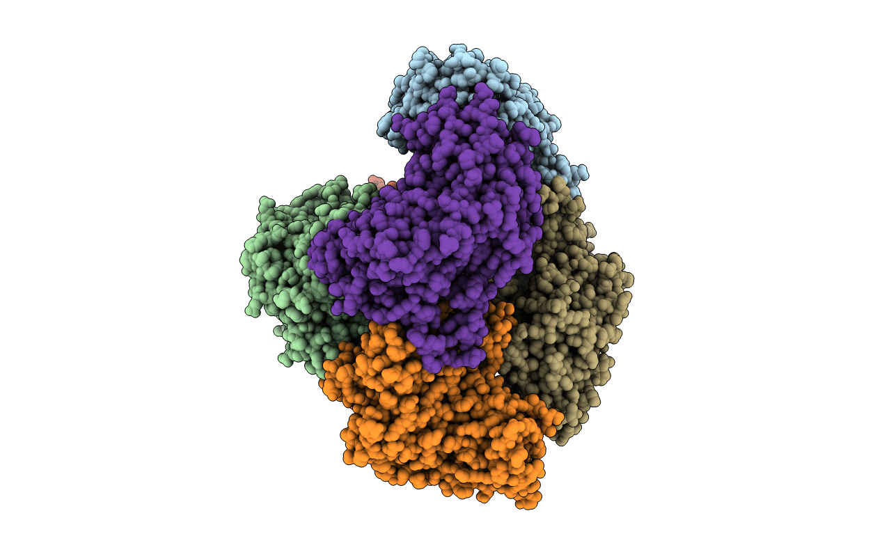 2Y2W image