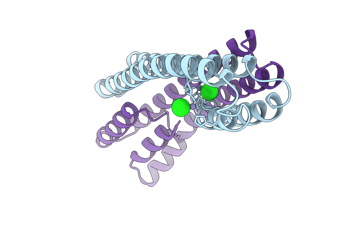 2Y3D image