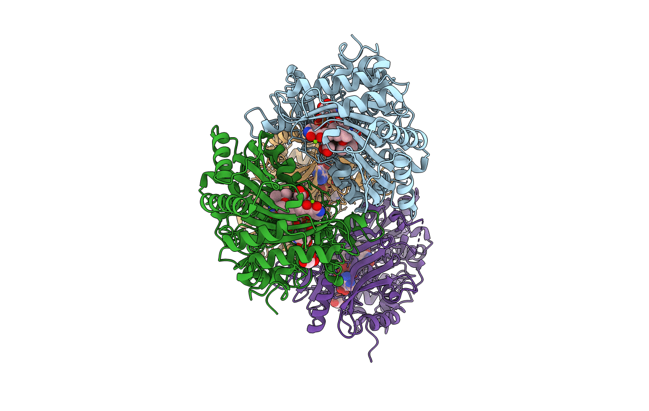 2Y3R image