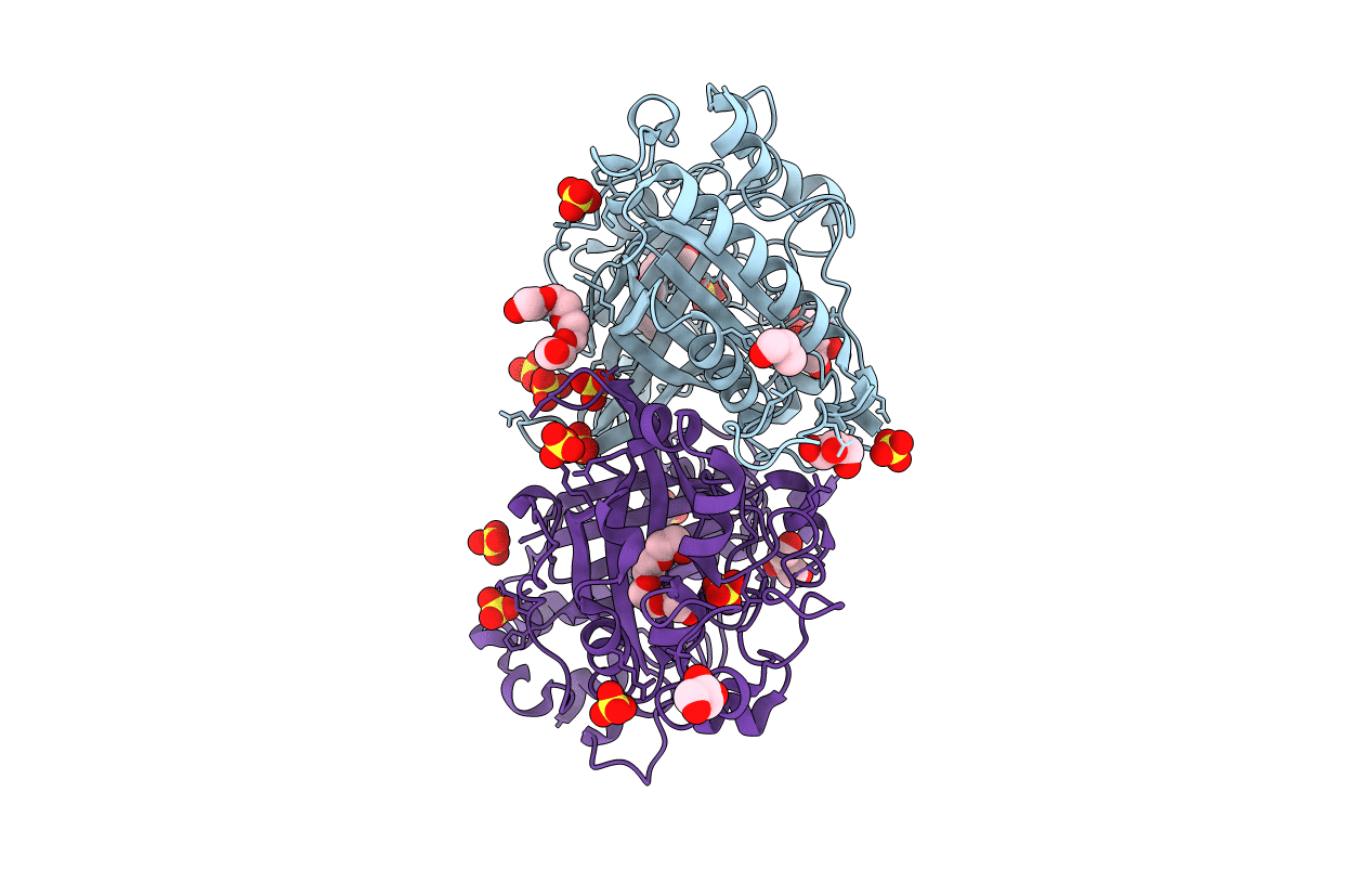 2Y4D image