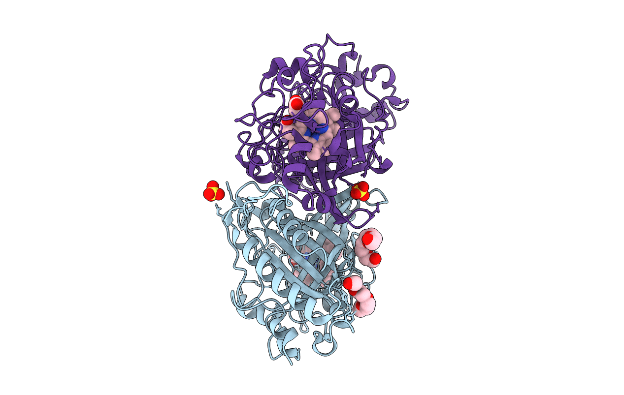2Y4E image
