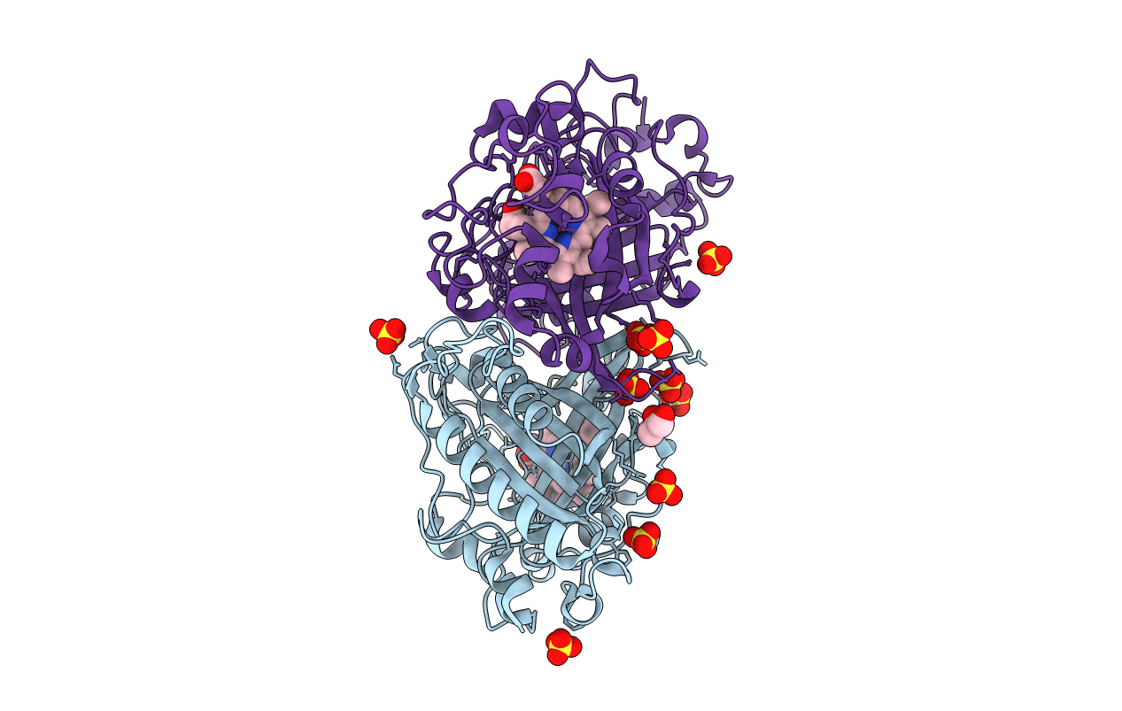 2Y4F image