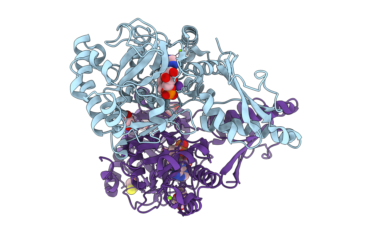2Y4O image