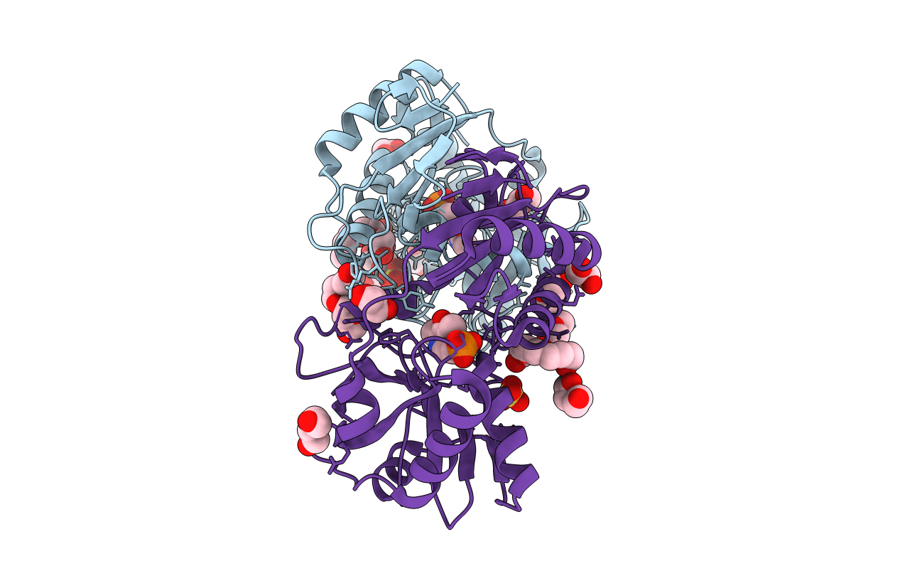 2Y4R image
