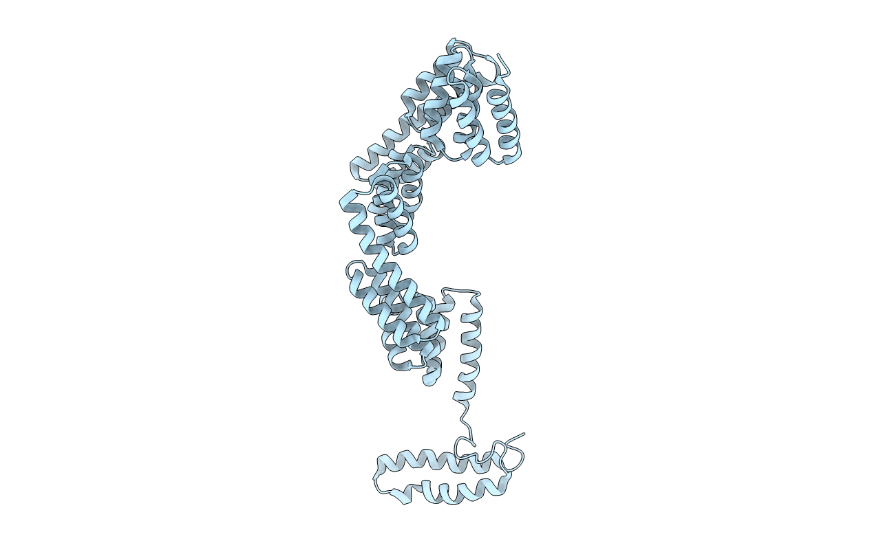 2Y4U image