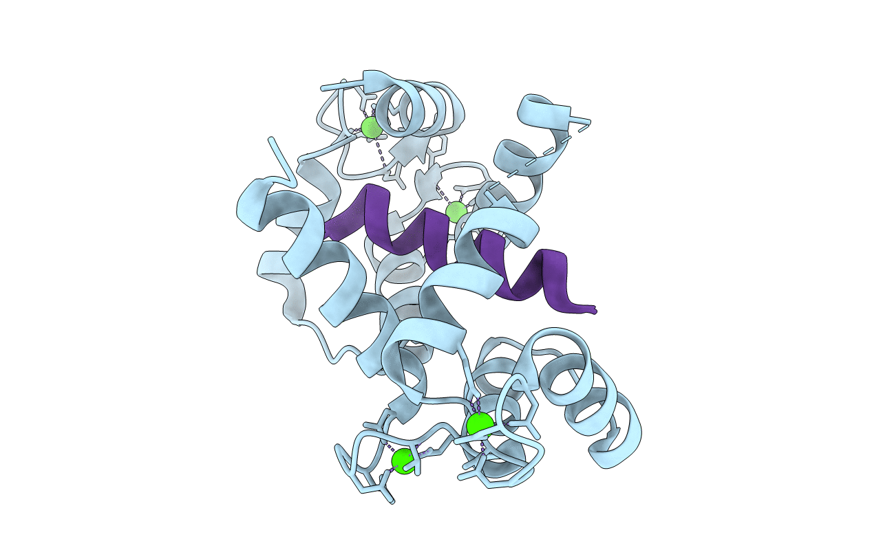 2Y4V image