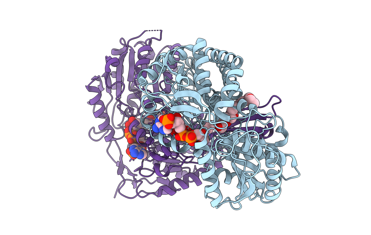 2Y5D image