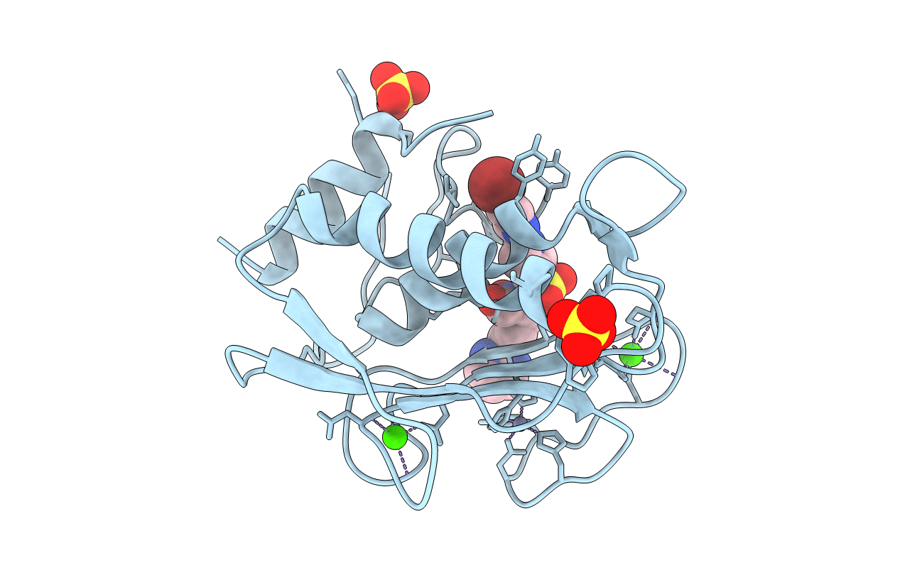 2y6d image