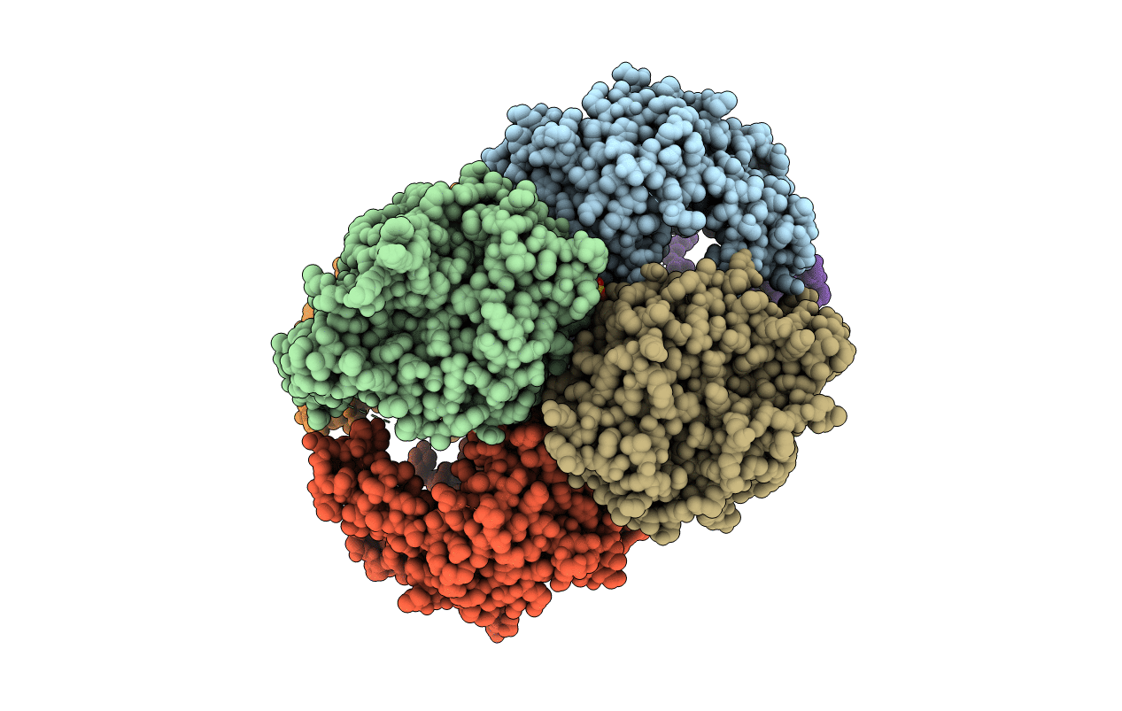 2Y6E image