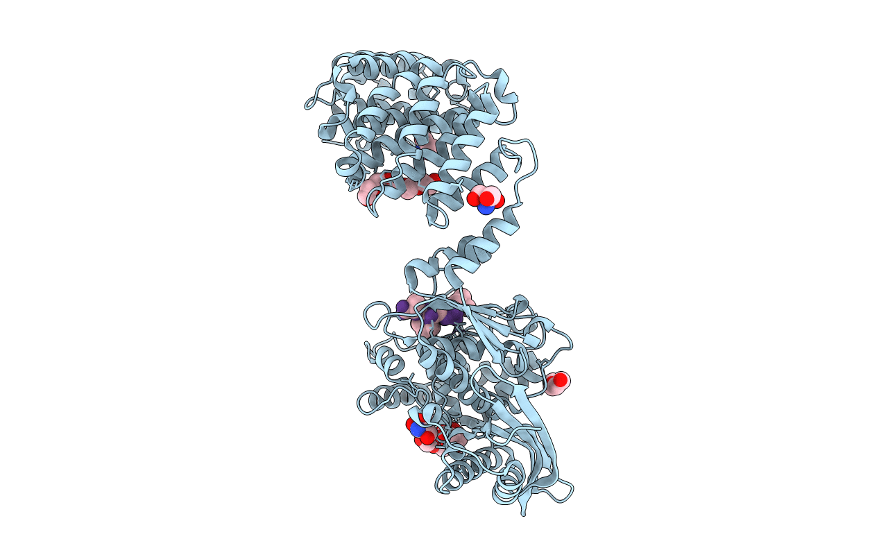 2y6i image