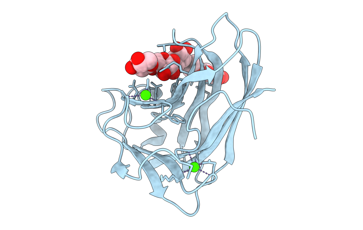 2Y6L image