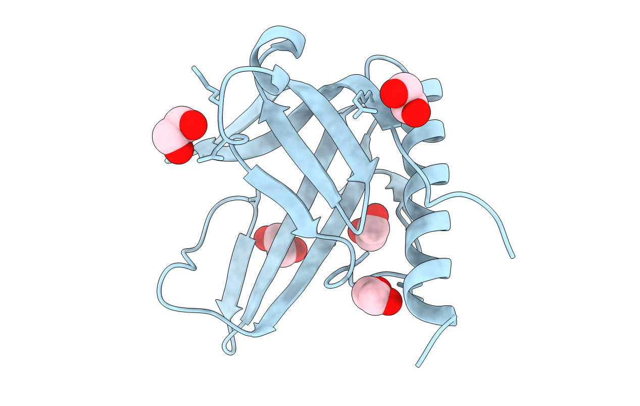 2Y7B image